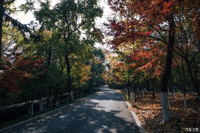 记忆自驾,从市区去温州樟里记忆自驾怎么走