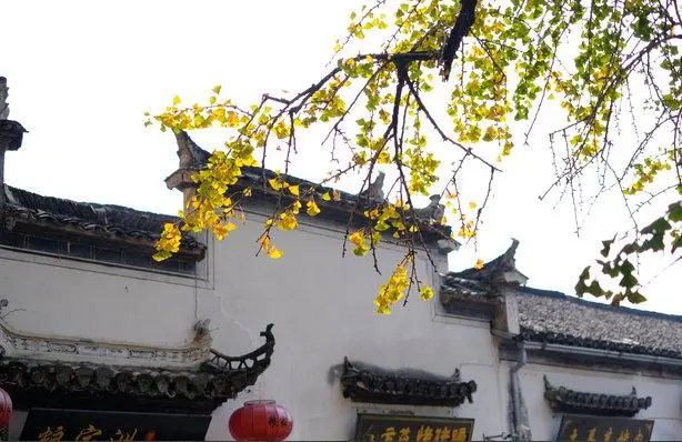 周瑜旅游景点,关于周瑜的旅游景点有哪些