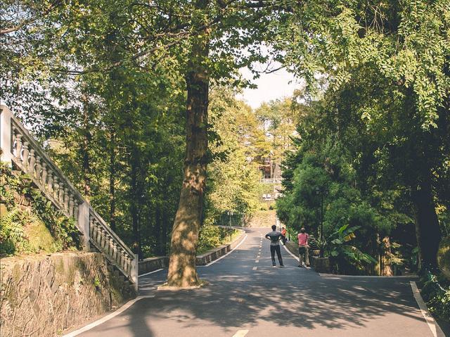 莫干山二日游,莫干山悠哉游哉两日游应该怎么玩