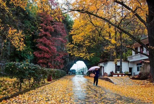 皖南有哪些值得一去的旅游景点（皖旅游景点）