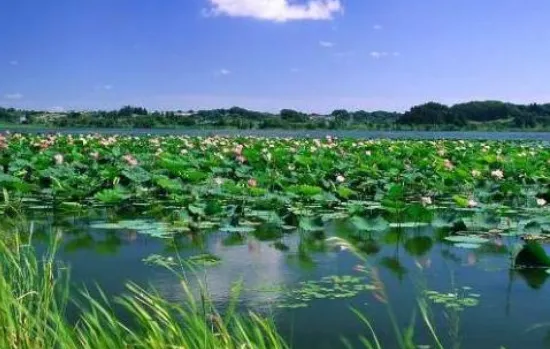 河北省旅游景点是怎么排行的（河北境内旅游景点）