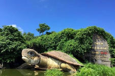 湛江霞山旅游景点,湛江霞山区的那个地方好玩