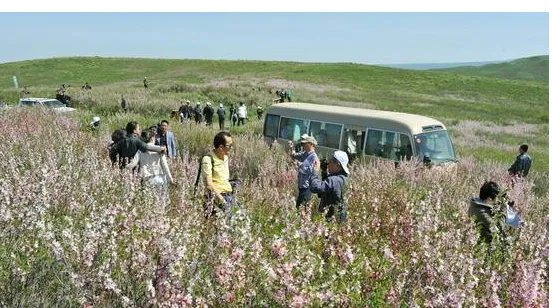 援疆号旅游专列价格,2018年首趟“皖和号”旅游援疆专列发车了