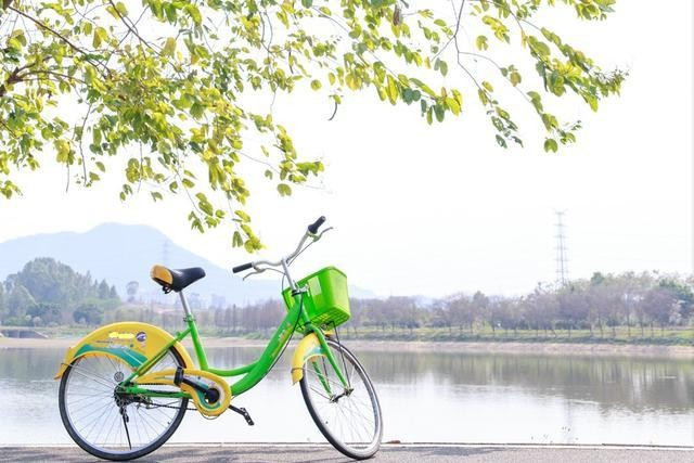 东莞旅游景点一日游,东莞一日游必去的地方有哪些