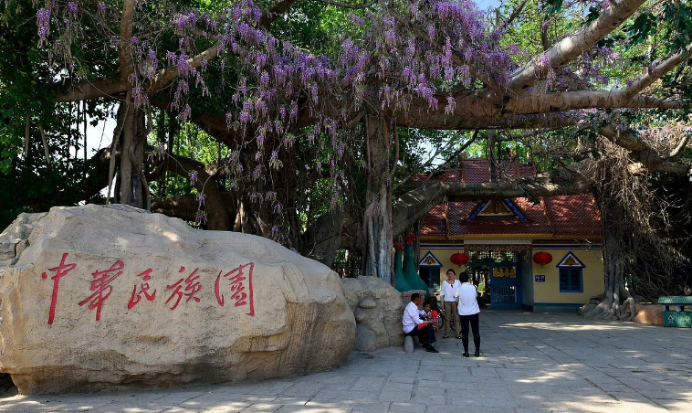 鸟巢旅游攻略,北京鸟巢有什么好玩的鸟巢一日游攻略