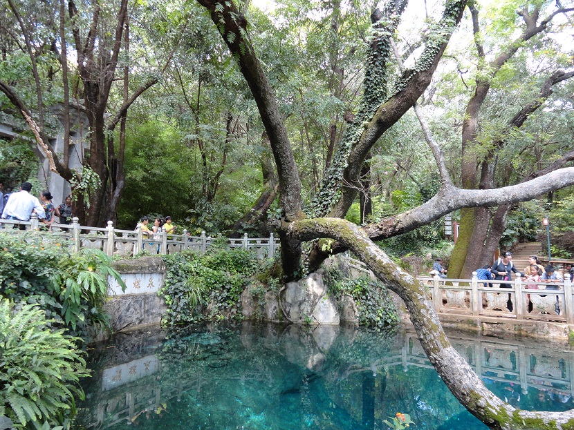 大理蝴蝶泉去自由行,大理游玩蝴蝶泉苍山洱海怎么到达这些地方