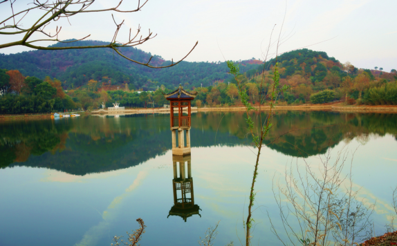 花乡茶谷旅游度假风景区,武汉花乡茶谷旅游度假有限公司怎么样