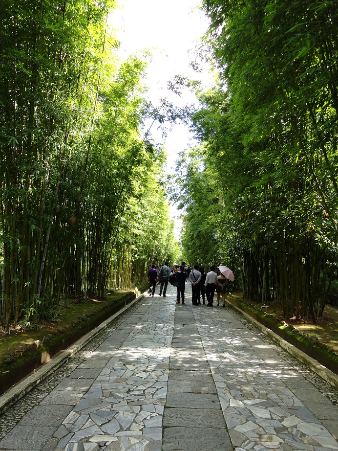 大理蝴蝶泉去自由行,大理游玩蝴蝶泉苍山洱海怎么到达这些地方