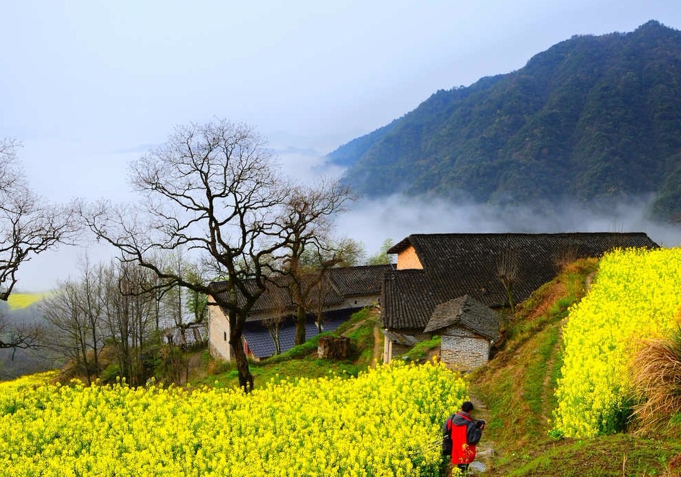 皖南旅游景点,皖南有哪些旅游景点大全