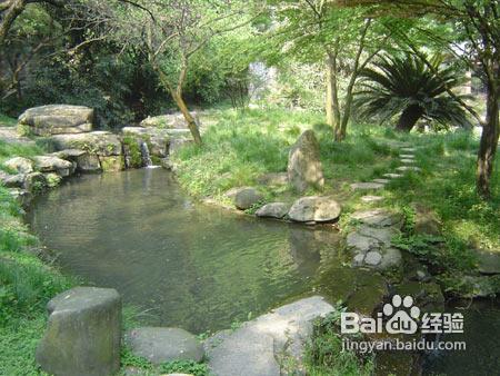 白鹤梁一日游,梁鹤白应该是一个旅游景点在哪