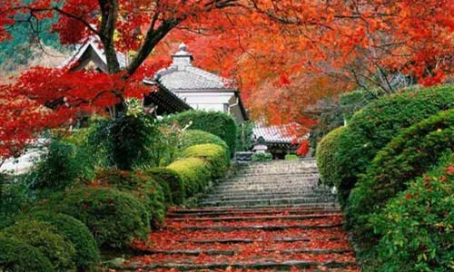 香山旅游风景区,北京香山附近旅游景点