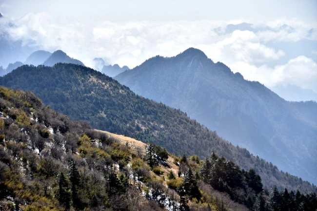 神农架春节旅游攻略,春节游神农架吃住请介绍玩请各位大神推荐