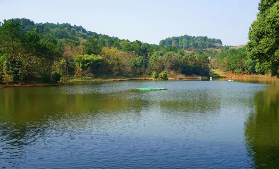 花乡茶谷旅游度假风景区,武汉花乡茶谷旅游度假有限公司怎么样