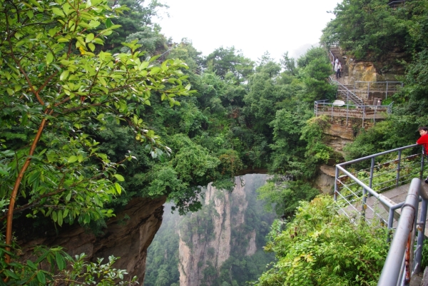 株洲到张家界旅游攻略（株洲到张家界旅游费用）