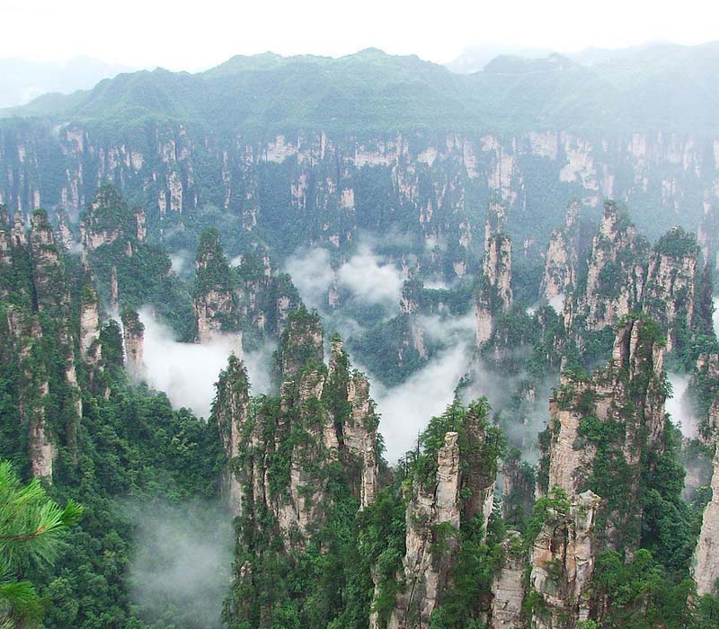 自由行白洋淀,从北京到白洋淀自助游怎样坐车去了怎么玩什么时候去最合适