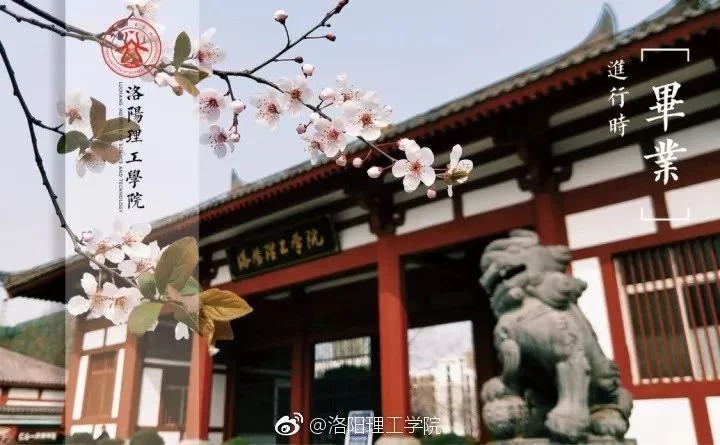 洛阳旅游价格,河南洛阳市各个旅游景点门票价格多少