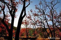 满城旅游景区,满城有哪些旅游景点