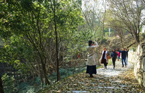 花乡茶谷旅游度假风景区,武汉花乡茶谷旅游度假有限公司怎么样