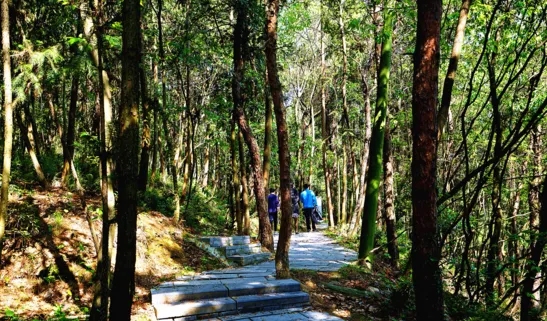 花乡茶谷旅游度假风景区,武汉花乡茶谷旅游度假有限公司怎么样