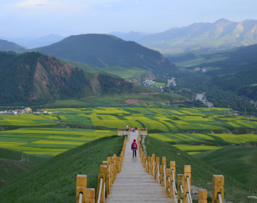 中国今年旅游业损失多少钱,今年中国的旅游业会垮吗