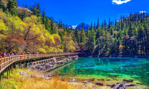 你好春节去九寨沟多少钱（春节九寨沟旅游多少钱）