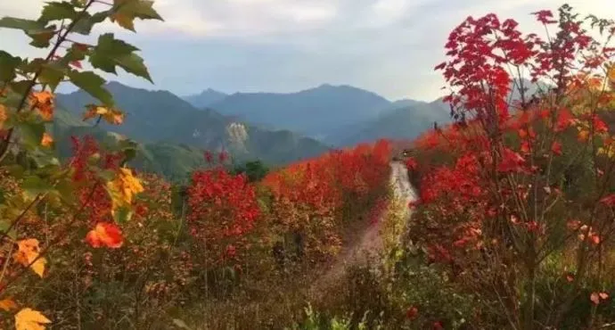 银厂沟旅游风景区,准备今年夏天在成都市区或成都周边地区一日游推荐几个好耍又凉快的地方啊！！急急！！！