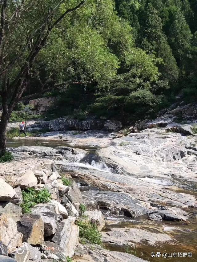 济宁三日游,山东济宁到乌镇三日游要花多少钱啊