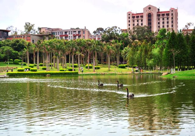 厦门大学有什么旅游景点（厦门大学旅游景点）