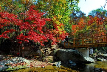 本溪关门山旅游团,关门山好玩吗本溪关门山怎么样