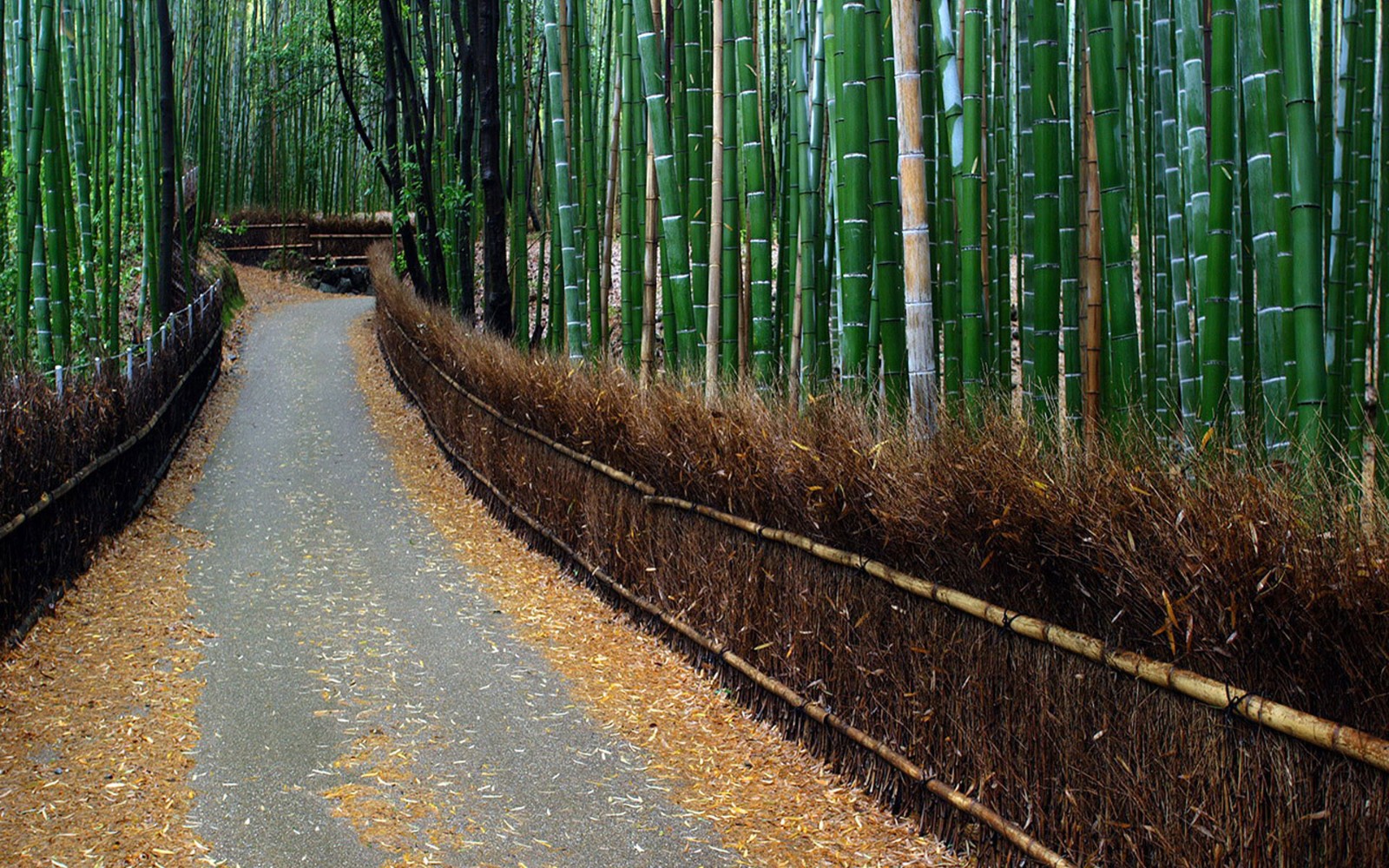 六盘水旅游景点介绍,六盘水有哪些旅游景点