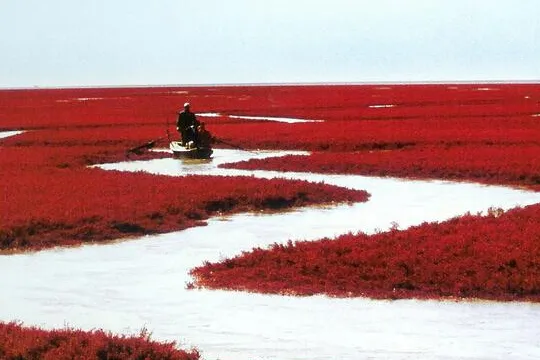 盘锦旅游景点大全排名（盘锦免费旅游景点大全）