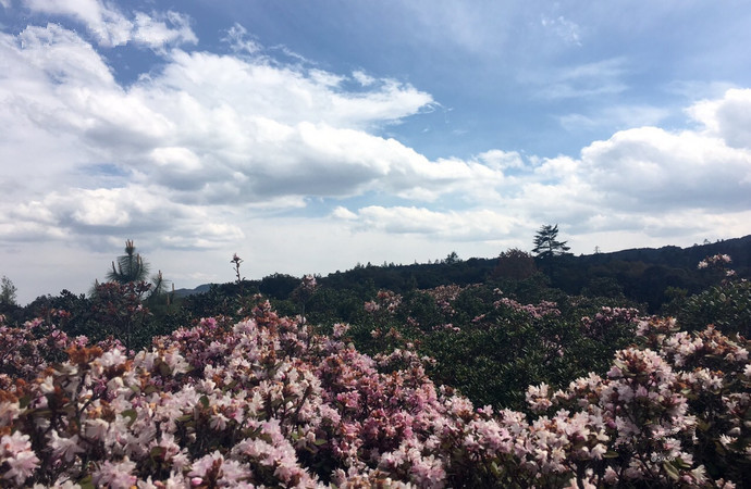 四川攀枝花有哪些景点（四川攀枝花旅游景点）