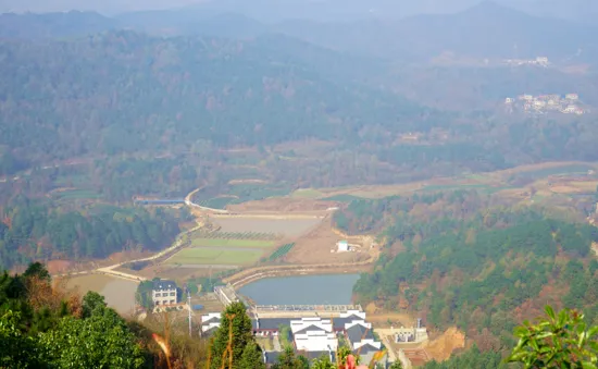 花乡茶谷旅游度假风景区,武汉花乡茶谷旅游度假有限公司怎么样