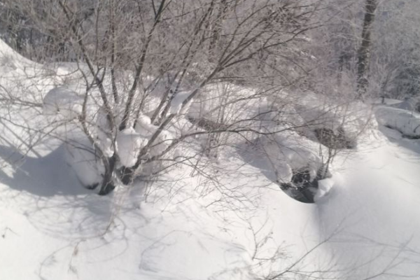 湖南雪乡旅游报团价格,去雪乡旅游都要带什么装备