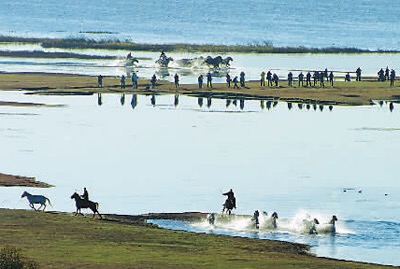 乌兰布统草原旅游攻略自驾游,乌兰布统旅游攻略乌兰布统好玩吗