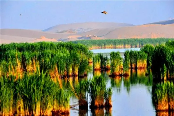 宁夏有什么旅游景点,求宁夏旅游景点大全排名哪些比较值得去