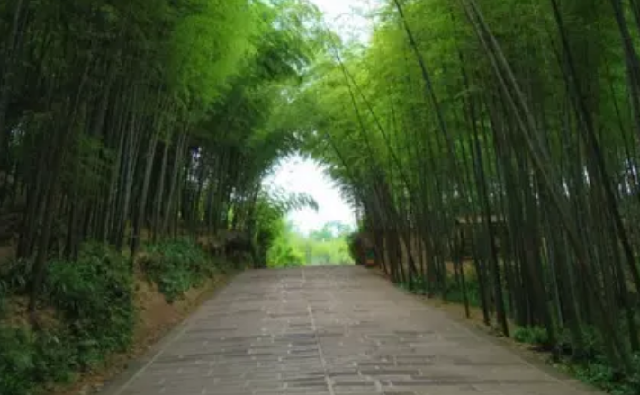 自驾蜀南竹海,蜀南竹海旅游可以开车进去吗