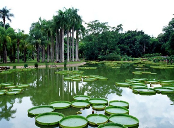 云南旅游景点介绍,云南有哪些著名的旅游景点