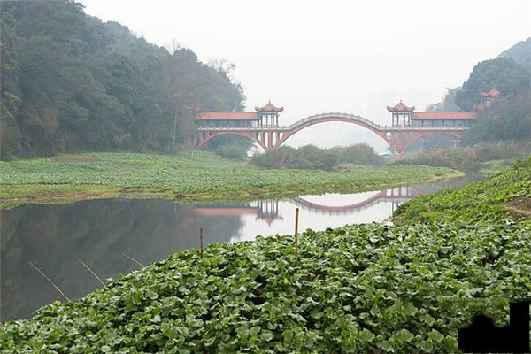 国庆旅游景点推荐国内（国庆热门旅游景点）