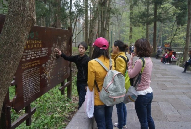 春节去张家界旅游好不好（春节张家界旅游费用）