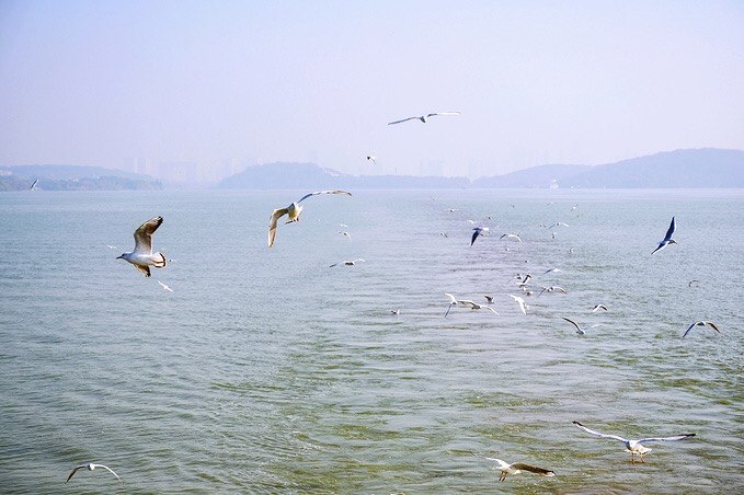 太湖自驾游旅游攻略,环太湖自驾生态游需要注意什么