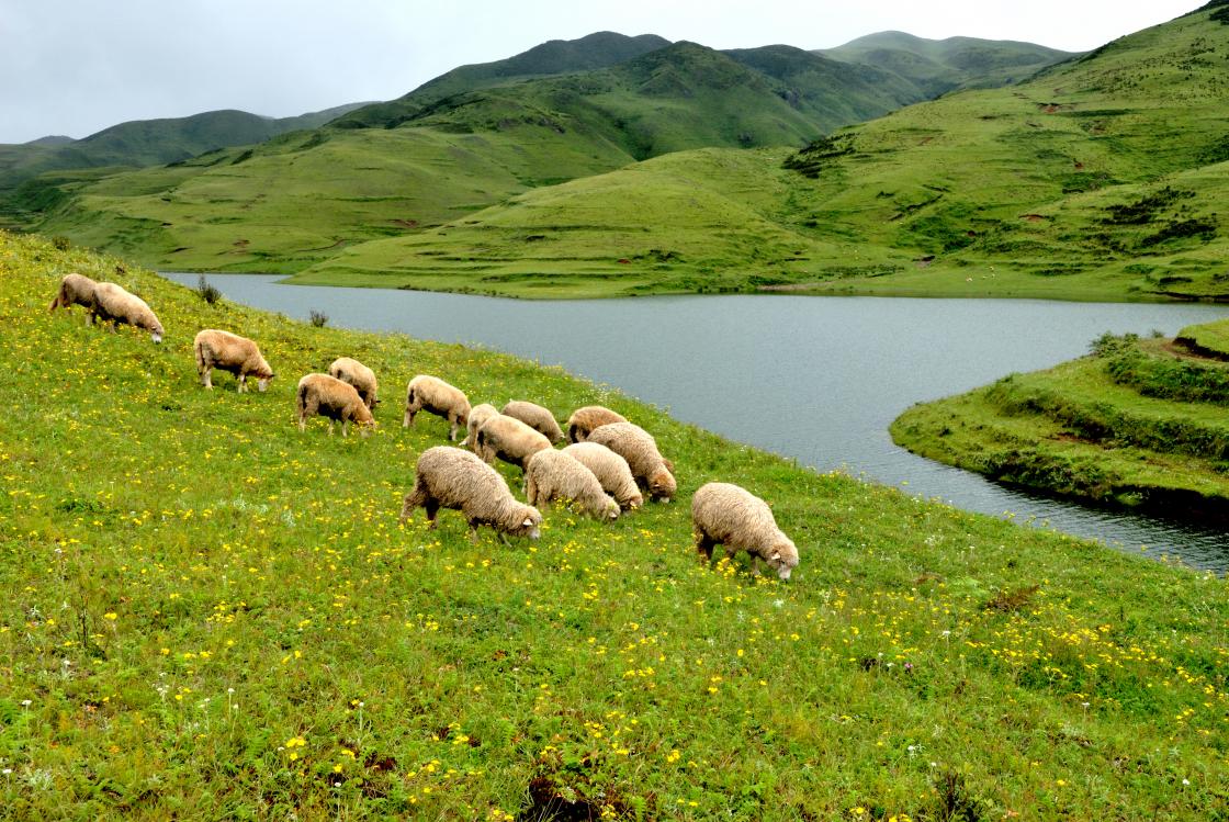 六盘水旅游景点介绍,六盘水有哪些旅游景点