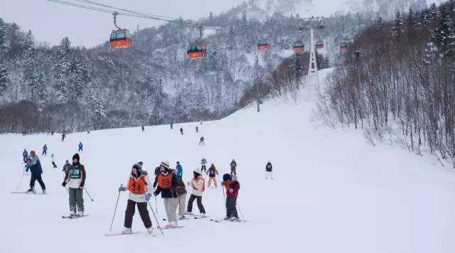 国内冬季旅游景点推荐,冬天有哪些旅游景点好玩