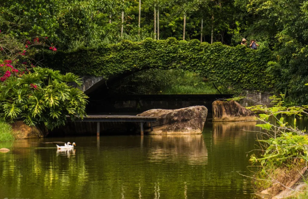 呀诺达雨林文化旅游区的主要景点（呀诺达雨林文化旅游区一日游）