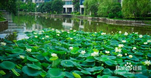 大学城有什么好玩的地方,重庆大学城周围有什么好玩的地方