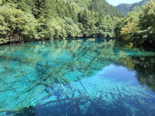 郑州双飞旅游攻略（上海到厦门双飞三日游1000元/人左右求攻略最好有熟悉厦门的好心人帮忙制定下流程谢谢~）