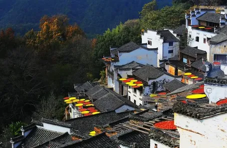 上饶旅游景点,上饶有什么好看的景点上饶周边游景点有哪些