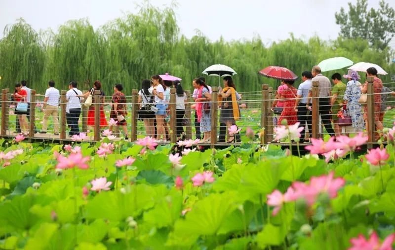 洛阳旅游价格,河南洛阳市各个旅游景点门票价格多少