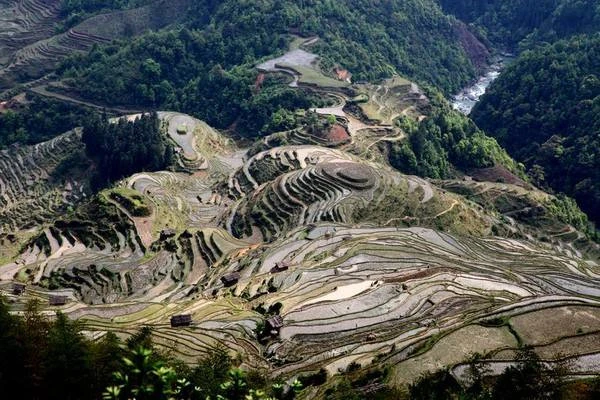 贵州的加榜梯田什么时间拍照最美（贵州加榜梯田旅游攻略）