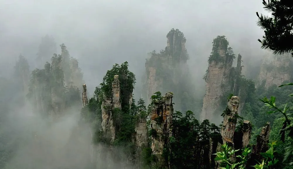 求助：深圳到张家界自驾游攻略（深圳到张家界自驾游攻略）